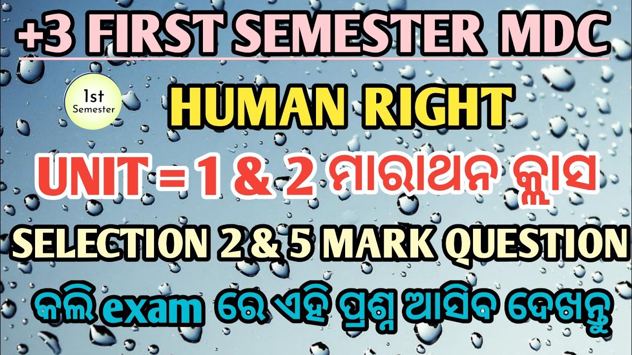 BA 1st Sem MDC Human Rights | Unit 1 & 2 | important 2 & 5 Mark Question For Sem Exam 2026