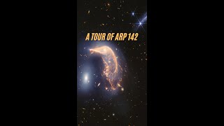 A Tour of Arp 142
This video tours Arp 142, an interacting galaxy pair affectionately known as the Penguin and the Egg that lies 326 million light-years from Earth.
The journey begins and ends on a new mid- and near-infrared image from the James Webb Space Telescope, and includes a brief fade to a visible light image from the Hubble Space Telescope.
The pair are separated by only 100,000 light-years — relatively close in astronomical terms. Our Milky Way galaxy and nearest neighbor, the Andromeda galaxy, are separated by about 2.5 million light-years. This tour spotlights what’s happened since they’ve interacted, including a blue haze that joins them.
Also look for contrasting views of the spiral galaxy at top right, which “disappears” in Webb’s mid-infrared view.
Credit: NASA, ESA, CSA, STScI, Danielle Kirshenblat (STScI) A Tour of Arp 142