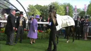 Queen has Royal Ascot Winner ESTIMATE  in the Queens Vase 2012