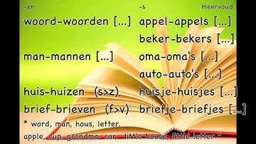 Nouns (2/3) plural / learn Dutch lessons / Zelfstandige naamwoorden meervoud / Nederlandse les