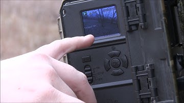 Barn Owl Camera setup