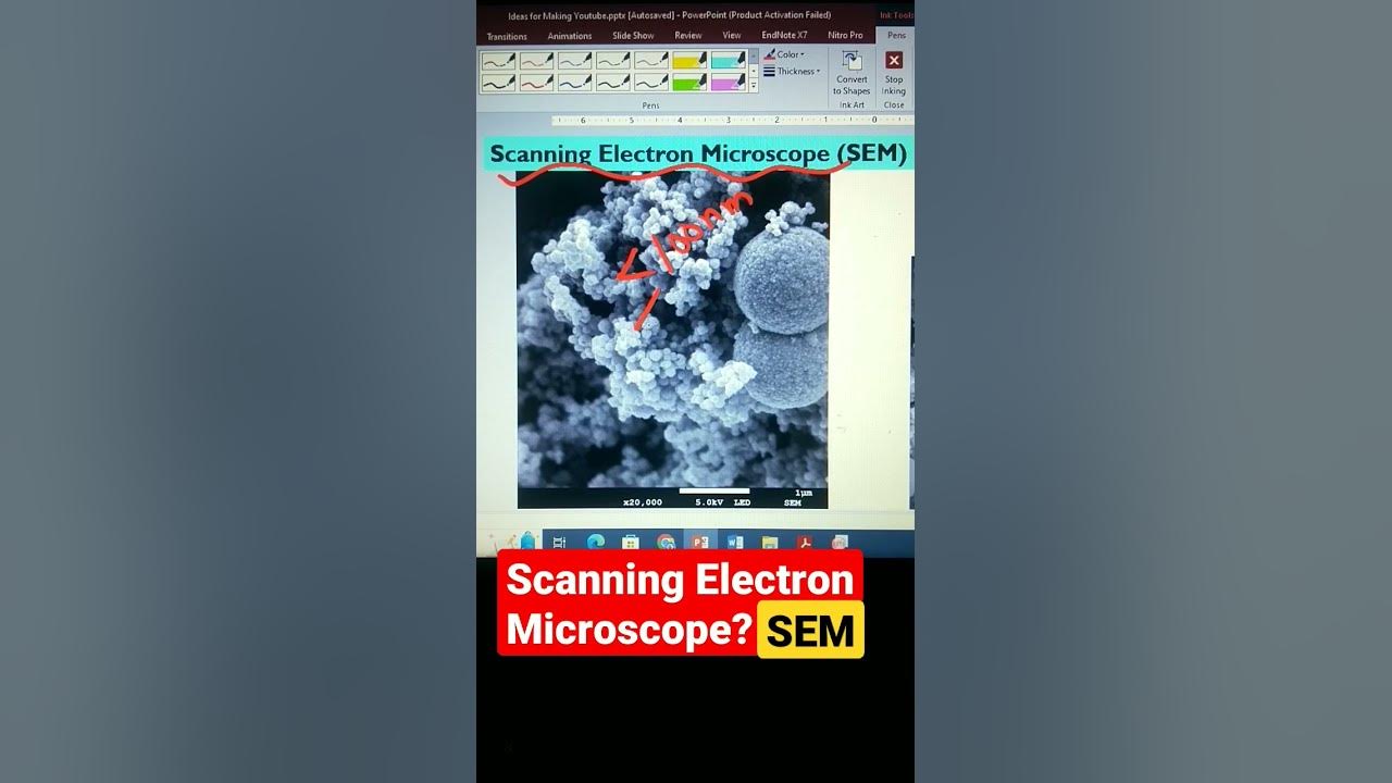 Function of SEM? Scanning Electrons Microscope Analysis YouTube