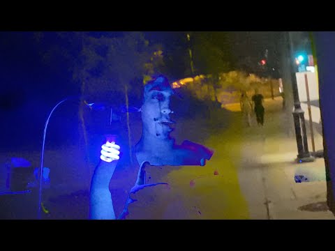 Zoo Baby Le Contraire