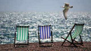 Cash Cash \u0026 Digital Farm Animals - Millionaire ( Cash Cash Remix ) Free Music