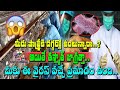 Another dangerous virus  people near poultry  cdc  salmonella bacteria  jaiswaraajya tv