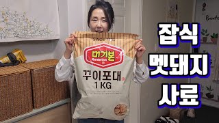 [쭌스맘vlog]우리집에 야생 멧돼지가 산다/호랑이도 잡아먹을 잡식 돼지