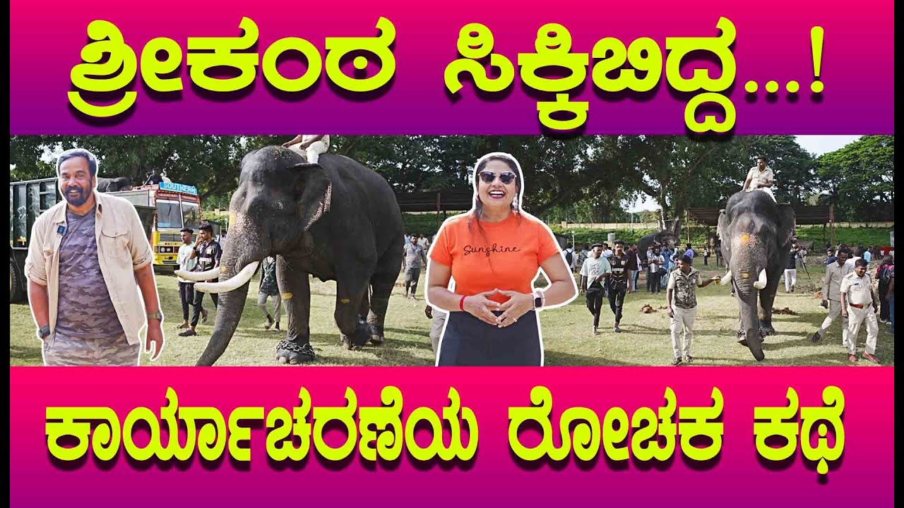 DASARA 2025 ಶ್ರೀಕಂಠ ಆನೆಯ ಕಾರ್ಯಾಚರಣೆ ರೋಮಾಂಚಕ ಮದದಲ್ಲಿ ಇದ್ದ ಈ ಆನೆಯ ಜೊತೆ  ಅಭಿಮನ್ಯು  ಕಾಳಗ 