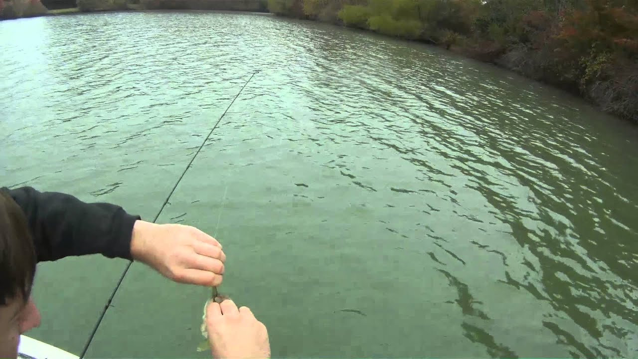 bassfishing cane creek park YouTube