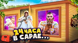 24 ЧАСА В САРАЕ С КОТАМИ И СОБАКОЙ | ПРЕВРАТИЛИ САРАЙ В ДОМИК