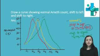 Arneth count | haematology | physiology practical