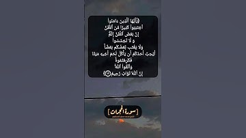 سورة الحجرات الآية ١٢ بصوت الشيخ محمد صديق المنشاوي
