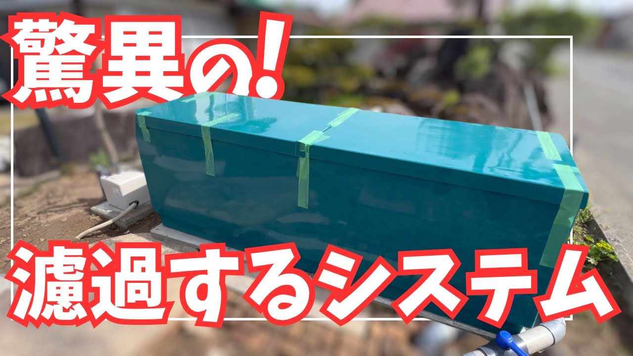 簡単！濾過システムの簡易設置と緑の水＃錦鯉販売#koifish #koi - YouTube