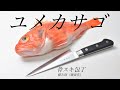 【捌きASMR】プロの魚屋も使う包丁 骨スキ包丁でユメカサゴを捌く【藤次郎藤寅作】【魚さばき方】