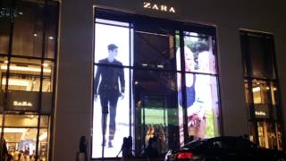 Zara Windows