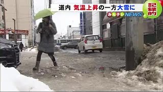 まるで春? 1月なのに10℃超え 気温上昇の一方で…道東は冬の嵐 40センチ近い降雪も (20/01/30 16:56)