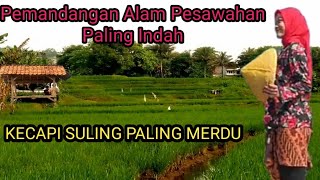 Alam yang paling Indah,Dengan Musik Kecapi Suling Sunda yang merdu.