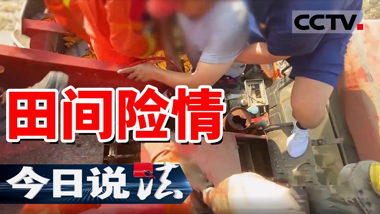 《今日说法》玉米飘香 机器轰鸣！丰收背后的“隐形杀手”你注意到了吗？20241107 | CCTV今日说法官方频道