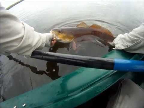 Kayak Fly Fishing for Redfish - YouTube