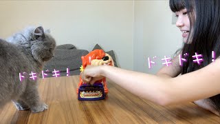 番犬ガオガオに猫の餌を入れて対決してみた！
