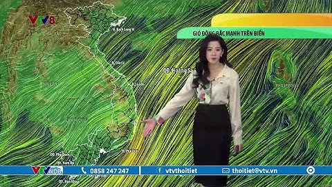 Dự báo thời tiết biển ngày 26/2/2023 | Gió đông bắc mạnh trên biển | VTVWDB
