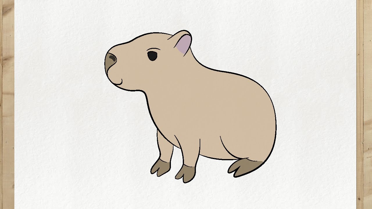 How to draw CAPYBARA step by step, VERY EASY and fast 