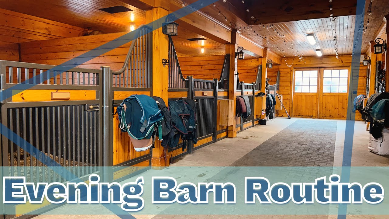 my-evening-barn-routine-feeding-the-horses-barn-chores-spring-2024
