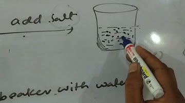 9th Class NCERT Science, Activity 1.1.1