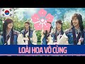 Hàn Quốc: hoa Mugung - Biểu tượng quốc gia #17