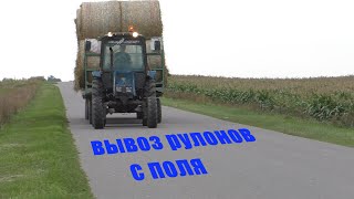 вывоз рулонов с поля. тракторами мтз