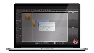 Hindenburg tutorial - Export selection
