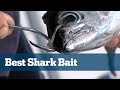 best Bloody Shark Bait - Florida Sport Fishing TV - Step By Step Butterflied Bonito