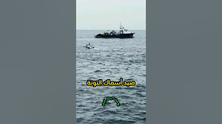 طريقة صيد مجموعة كبيرة من أسماك التونة 🇲🇦 صيد التونة العنيدة.
