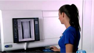 iCR 3600 P