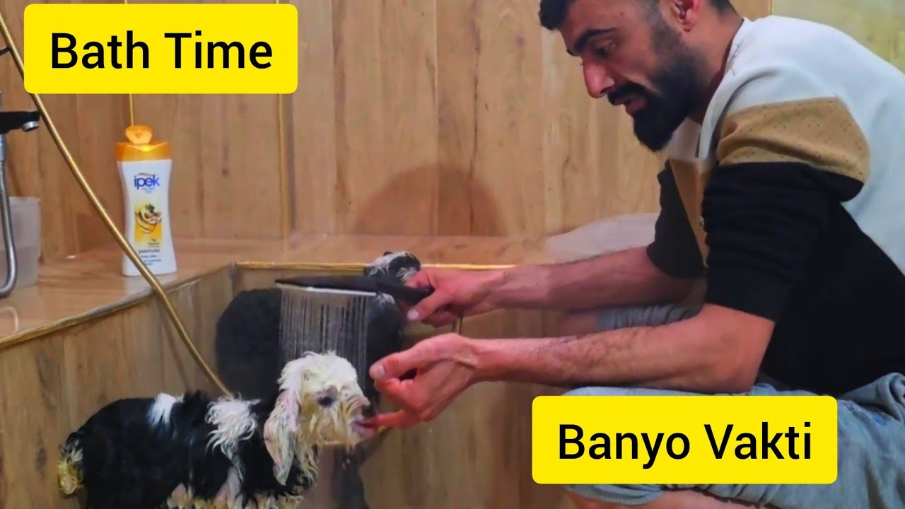 Living with Nature Chapter  141 Doğayla Yaşam  Bölüm 141