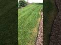 Wednesday rundown #humpday #grasscutting #grass #lawncare #landscaping #lawntips #mowing #nc #ws