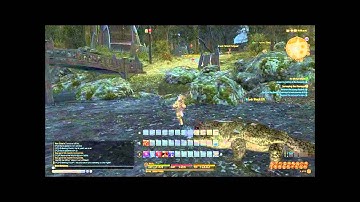 Random FF14 Fraps Test