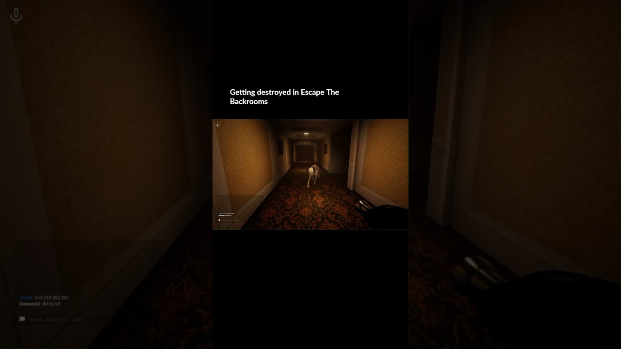 Getting destroyed in the Backrooms  