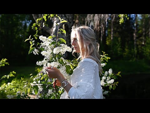 Video: Mahtavaa tai pimeää: Paralyzed Ratsilla on palautettu liikkuvuus