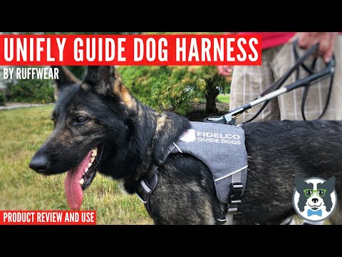 वीडियो: कुत्ते का मार्गदर्शन करने के लिए हार्नेस वेस्ट