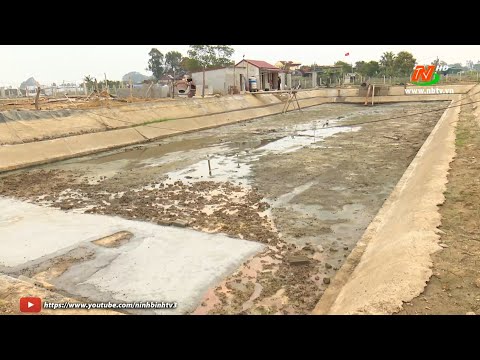 Video Hướng dẫn kỹ thuật cải tạo ao đầm nuôi cá nước ngọt - youtube