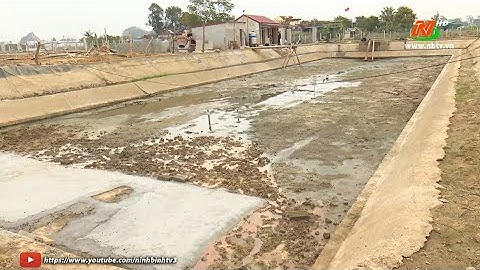 Hướng dẫn kỹ thuật cải tạo ao đầm nuôi cá nước ngọt