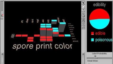 Decision Table Visualizer