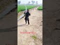 Drone funny video funny shorts