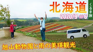 北海道くるま旅2020/09＃6 旭山動物園と雨の美瑛観光