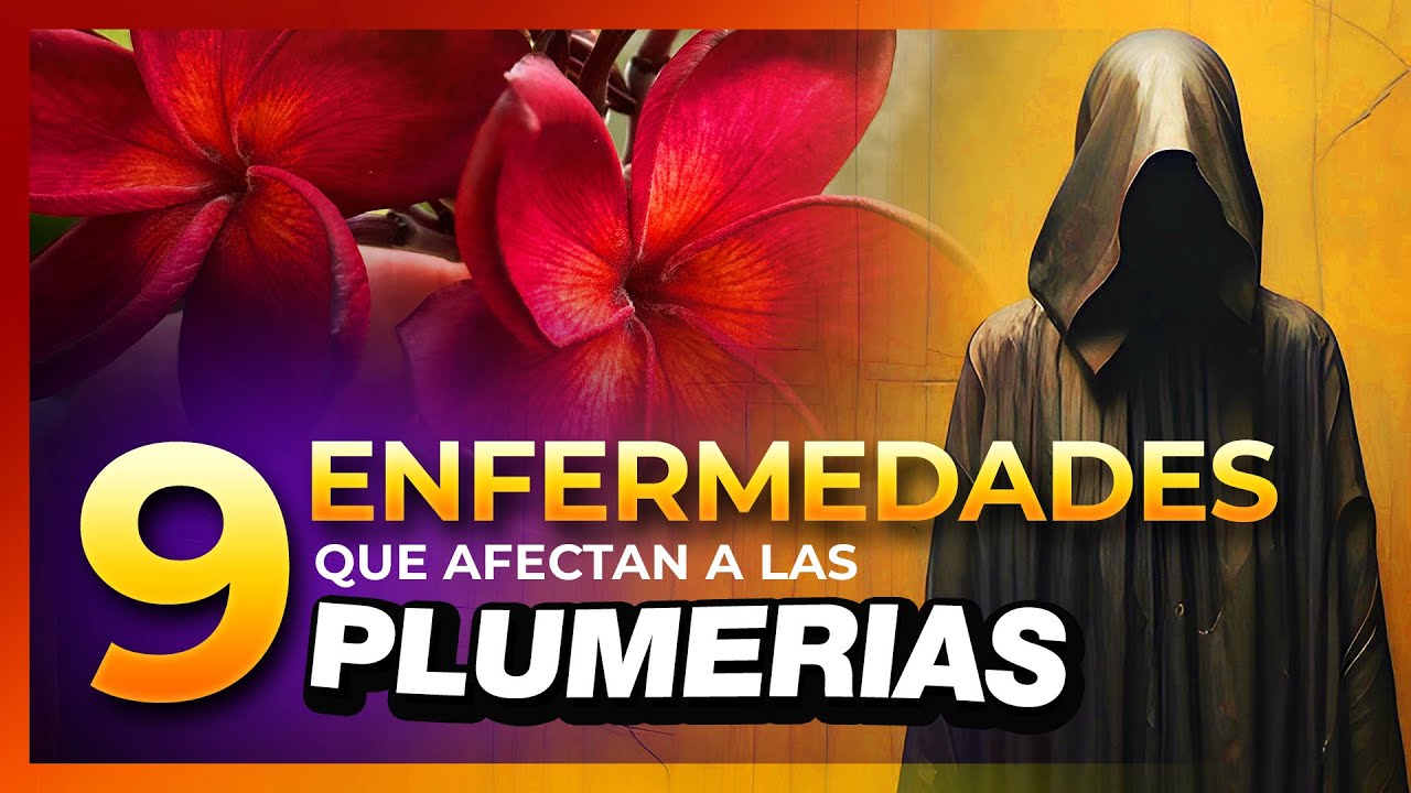 🦠 ENFERMEDADES de las PLUMERIAS 🦠 💊 🤢 #plumeria #frangipani