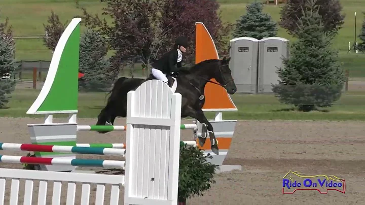 587S Payton Hsue on Kiss Kiss JR Open Novice  Show Jumping Rebecca Farm July 2022