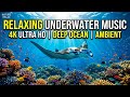 Deep Sea Drift 🌌 • Soothing Relaxation Music for Sleep 😌 • Soft Waves and Night Calm 🌙