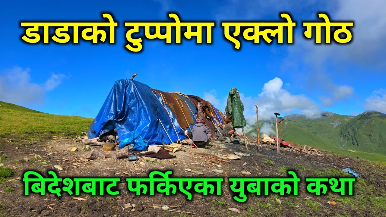 डाँडाको टुप्पोमा एक्लो गोठ | बिदेशबाट फर्किएका युवाले आफ्नै गाउँमा गरे यस्तो काम 