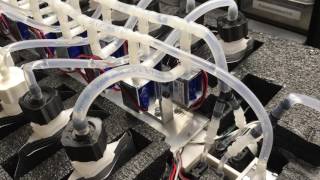 Water Sampler Sample Drain