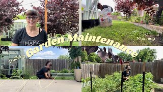 Spring Garden Maintenance  Mulching and Trellising